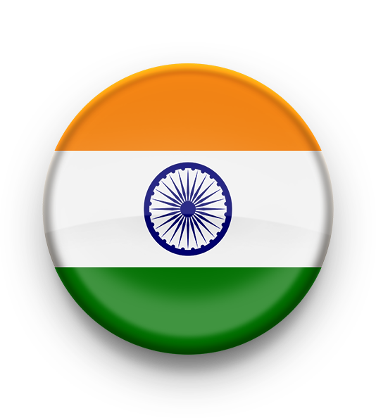 Carrom Pool India Sticker