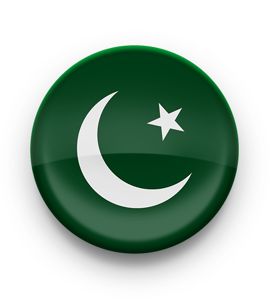 Carrom Pool Pakistan Sticker