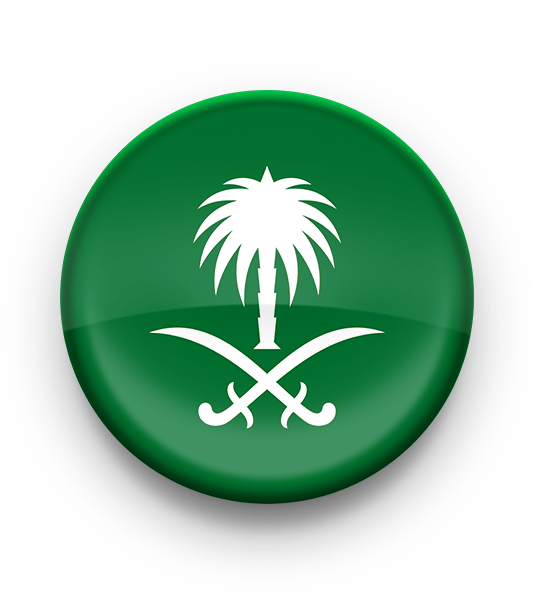 Carrom Pool Saudi Sticker