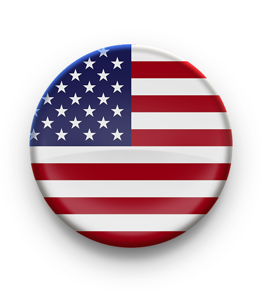 Carrom Pool USA Sticker